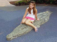 Сидящей на манекене крокодила девушке ничто не угрожает, но не вздумайте таким же образом обращаться с живым аллигатором!