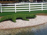 Скульптуру крокодила можно сделать из совершенно разных подручных средств, в том числе из буйной растительности.